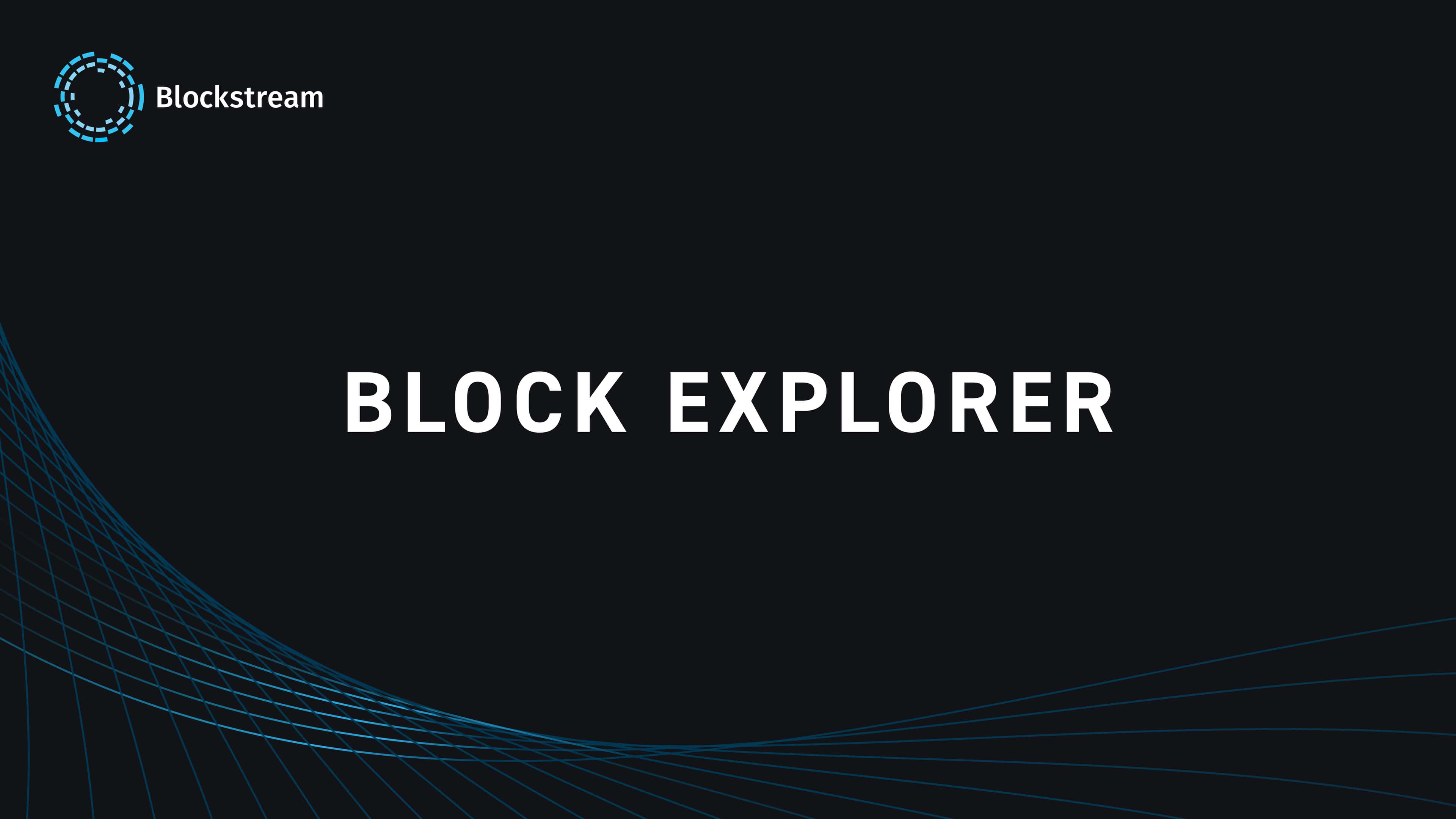 Blockstream Explorer logo